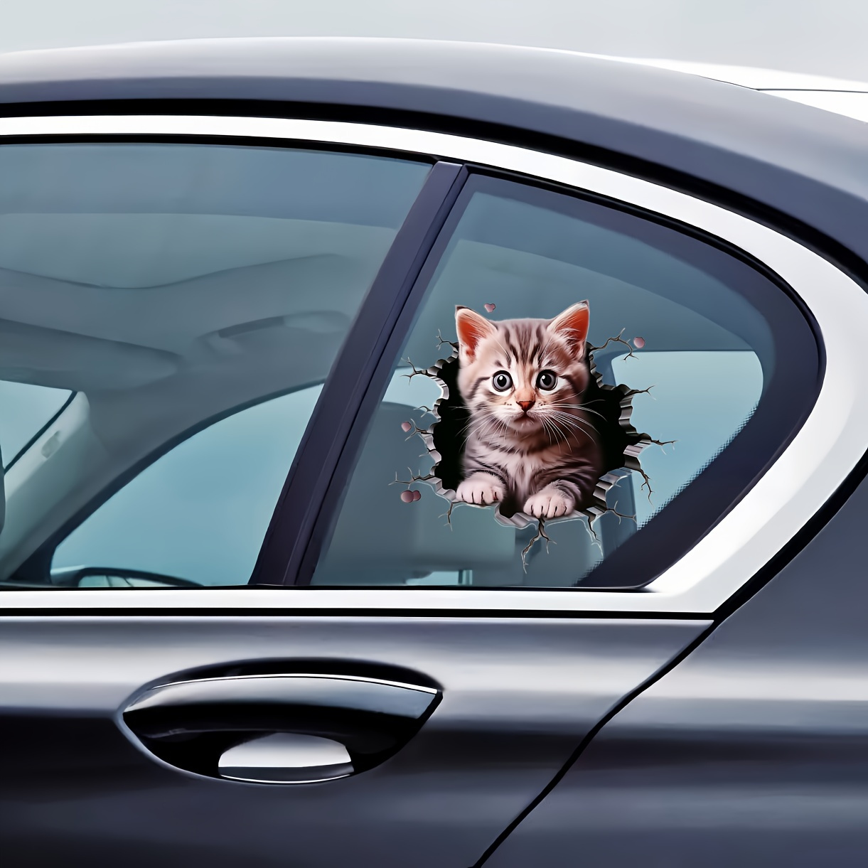 Polyvinyl Chloride Cat Pattern - Laptop Related Accessories review and price